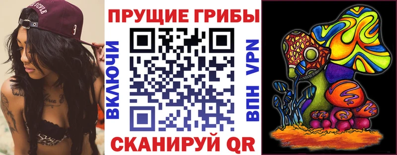 Псилоцибиновые грибы Psilocybe  OMG ссылка  Лангепас 